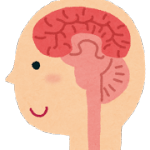 脳２