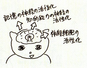 IMG_NEW (6)
