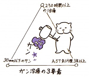 IMG_NEW (8)