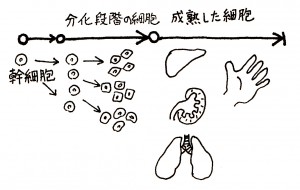 IMG_NEW (11)