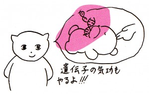 IMG_NEW (17)